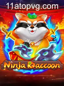 NinjaRaccoon